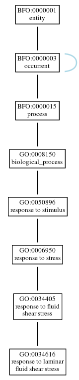 Graph of GO:0034616