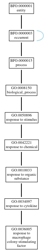 Graph of GO:0036005