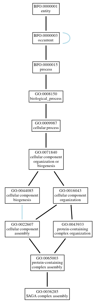 Graph of GO:0036285