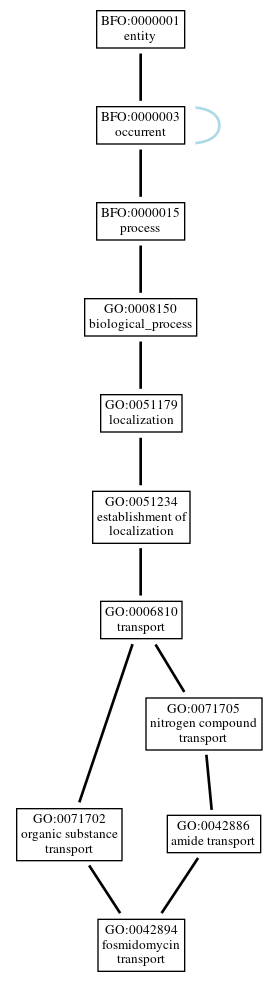 Graph of GO:0042894
