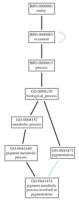 Graph of GO:0043474
