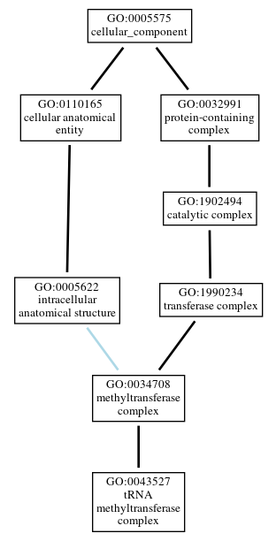 Graph of GO:0043527
