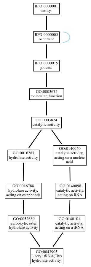 Graph of GO:0043905