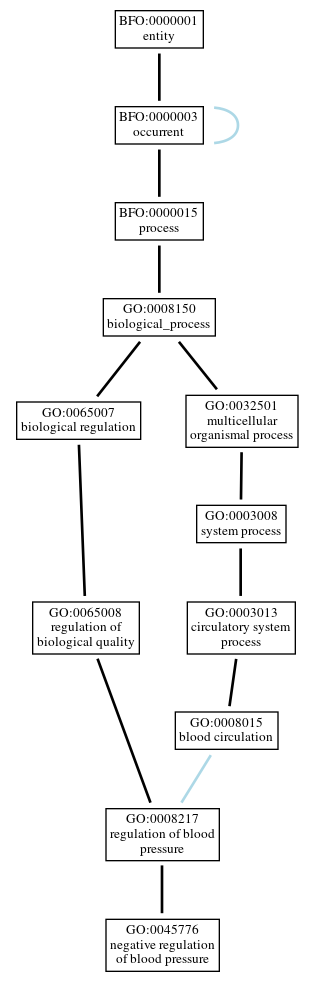 Graph of GO:0045776