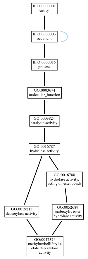 Graph of GO:0047374