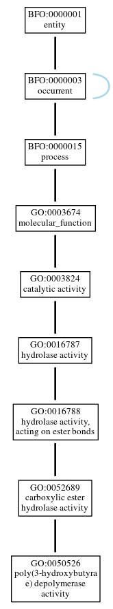 Graph of GO:0050526