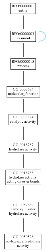 Graph of GO:0050528
