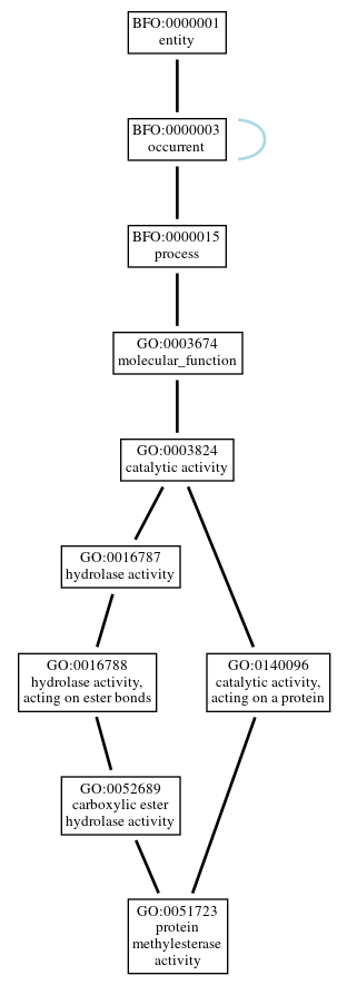 Graph of GO:0051723