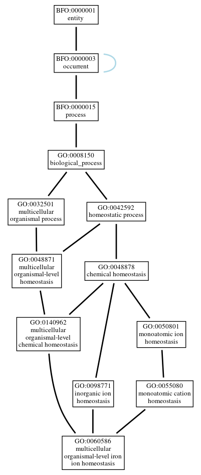 Graph of GO:0060586