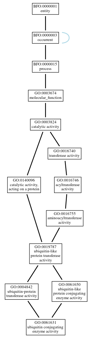 Graph of GO:0061631