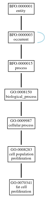 Graph of GO:0070341