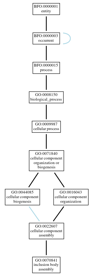 Graph of GO:0070841