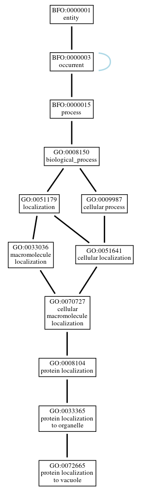 Graph of GO:0072665
