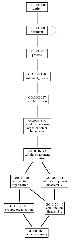 Graph of GO:0098883