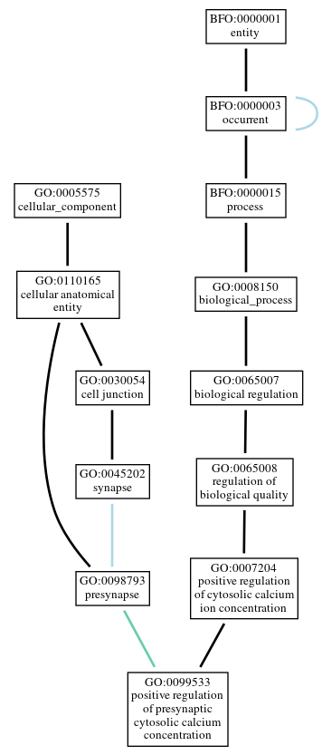 Graph of GO:0099533