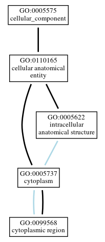 Graph of GO:0099568