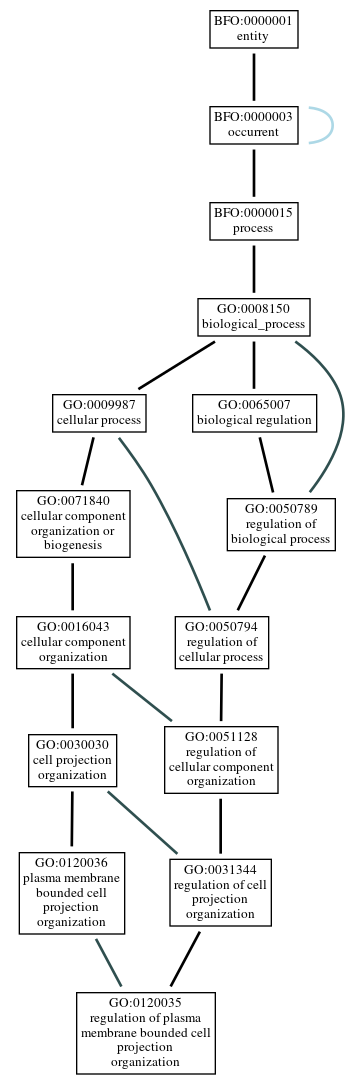 Graph of GO:0120035