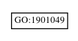 Graph of GO:1901049