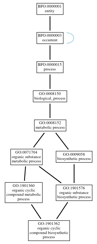 Graph of GO:1901362