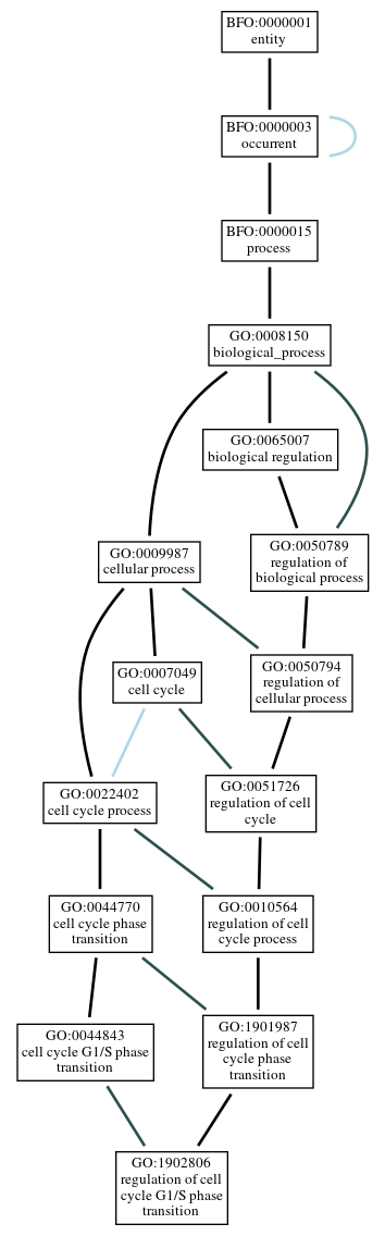 Graph of GO:1902806