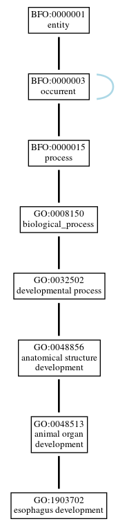 Graph of GO:1903702