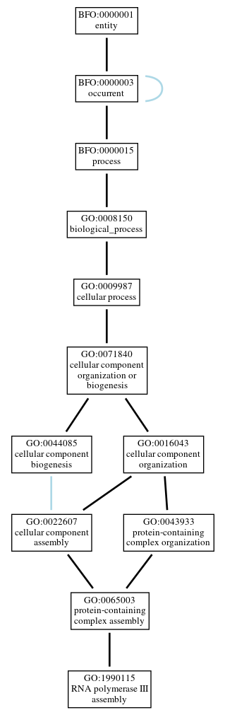 Graph of GO:1990115