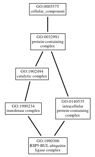 Graph of GO:1990306