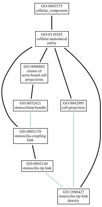 Graph of GO:1990427