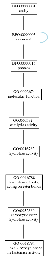 Graph of GO:0018731