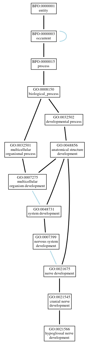 Graph of GO:0021566