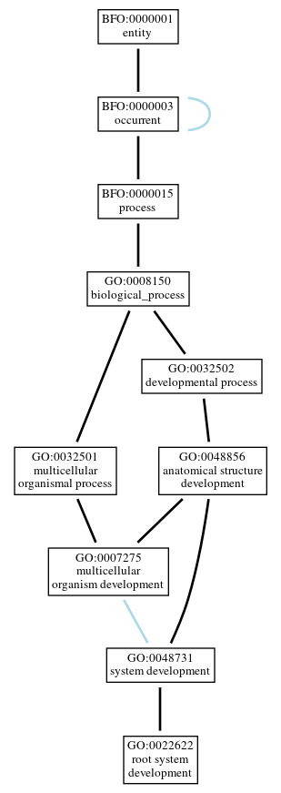 Graph of GO:0022622