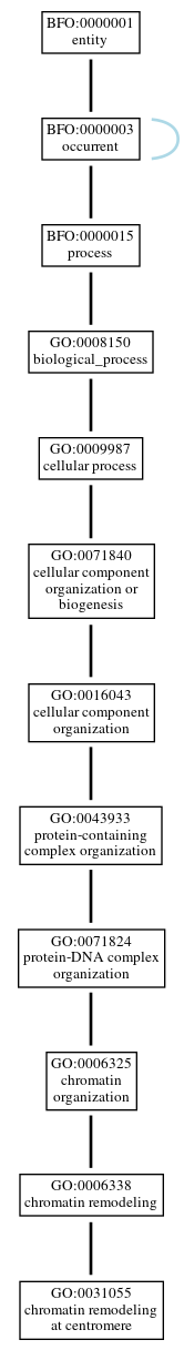Graph of GO:0031055