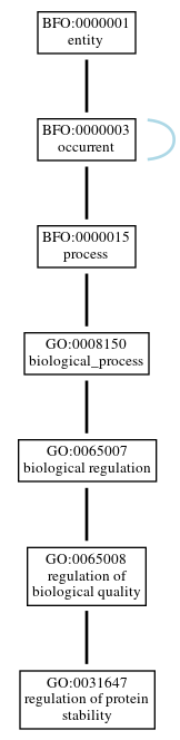 Graph of GO:0031647
