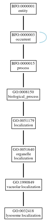 Graph of GO:0032418