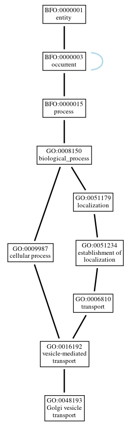 Graph of GO:0048193