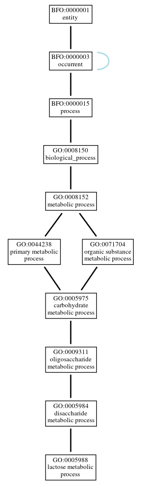 Graph of GO:0005988