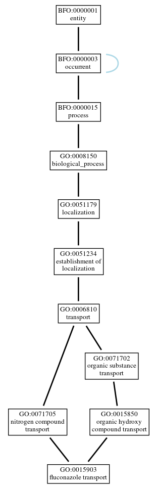 Graph of GO:0015903
