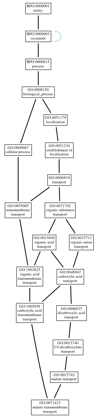 Graph of GO:0071423