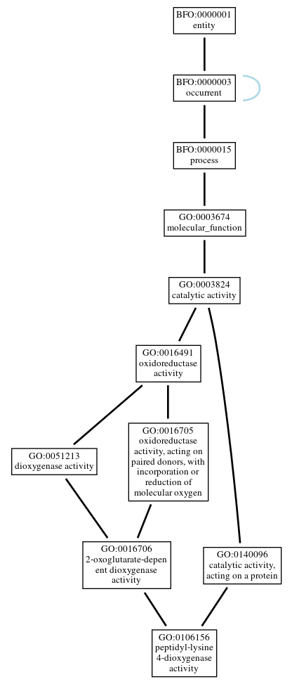 Graph of GO:0106156
