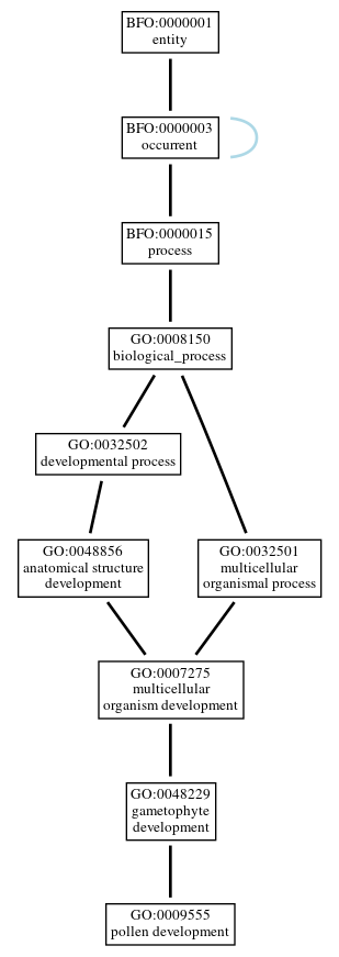 Graph of GO:0009555