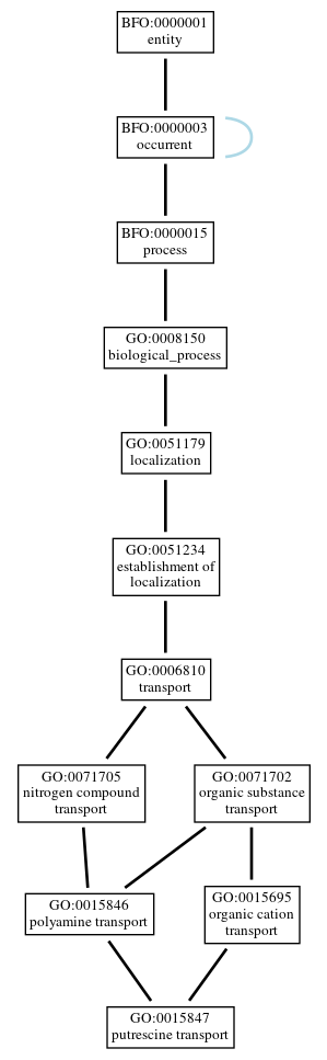 Graph of GO:0015847