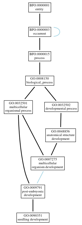 Graph of GO:0090351