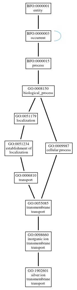 Graph of GO:1902601