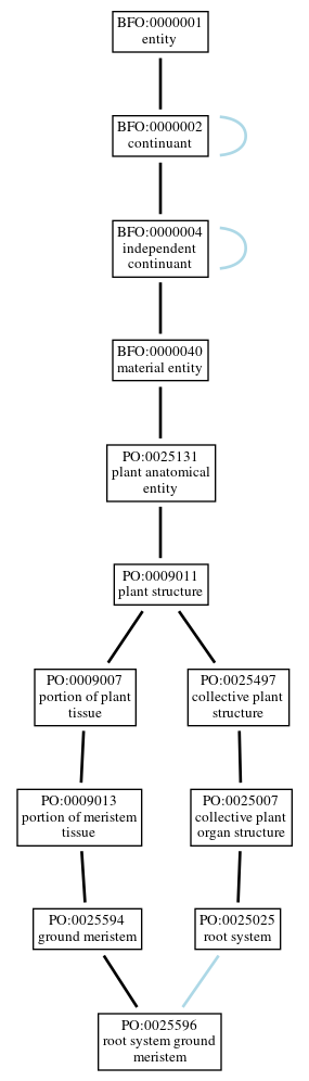 Graph of PO:0025596