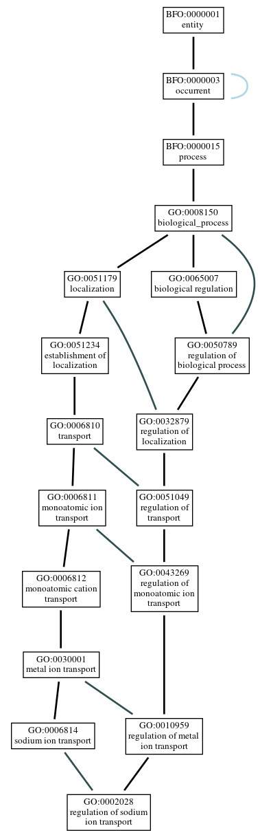 Graph of GO:0002028