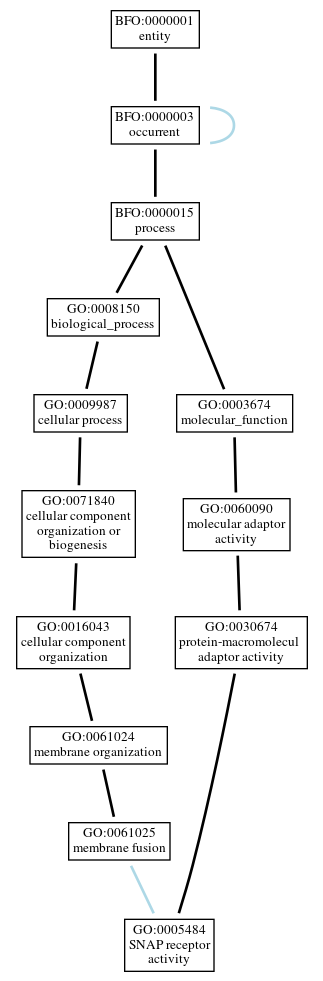 Graph of GO:0005484