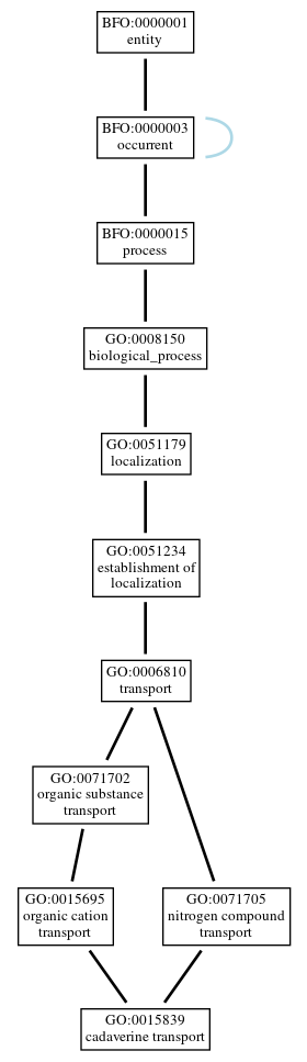 Graph of GO:0015839