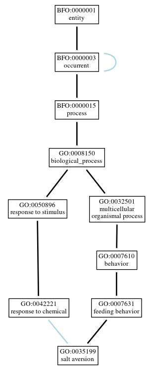 Graph of GO:0035199