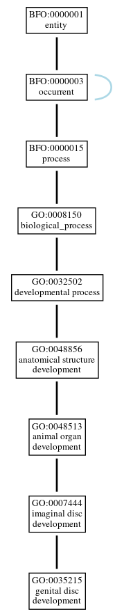Graph of GO:0035215