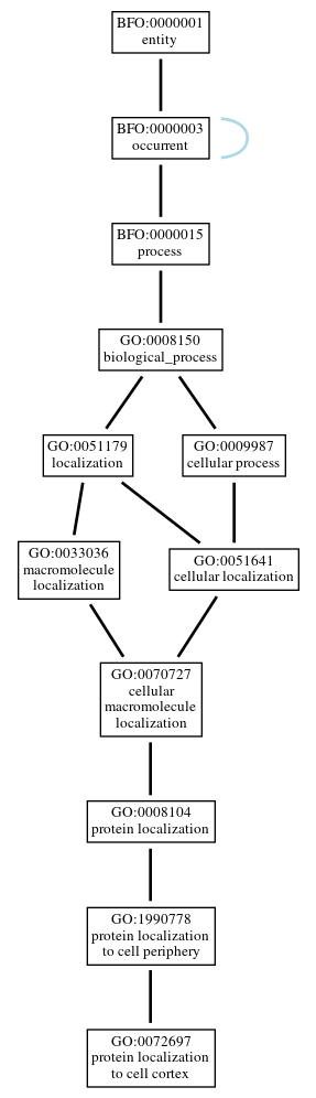 Graph of GO:0072697